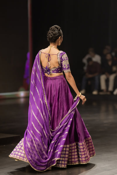 Elephant Border Purple Lehenga Set