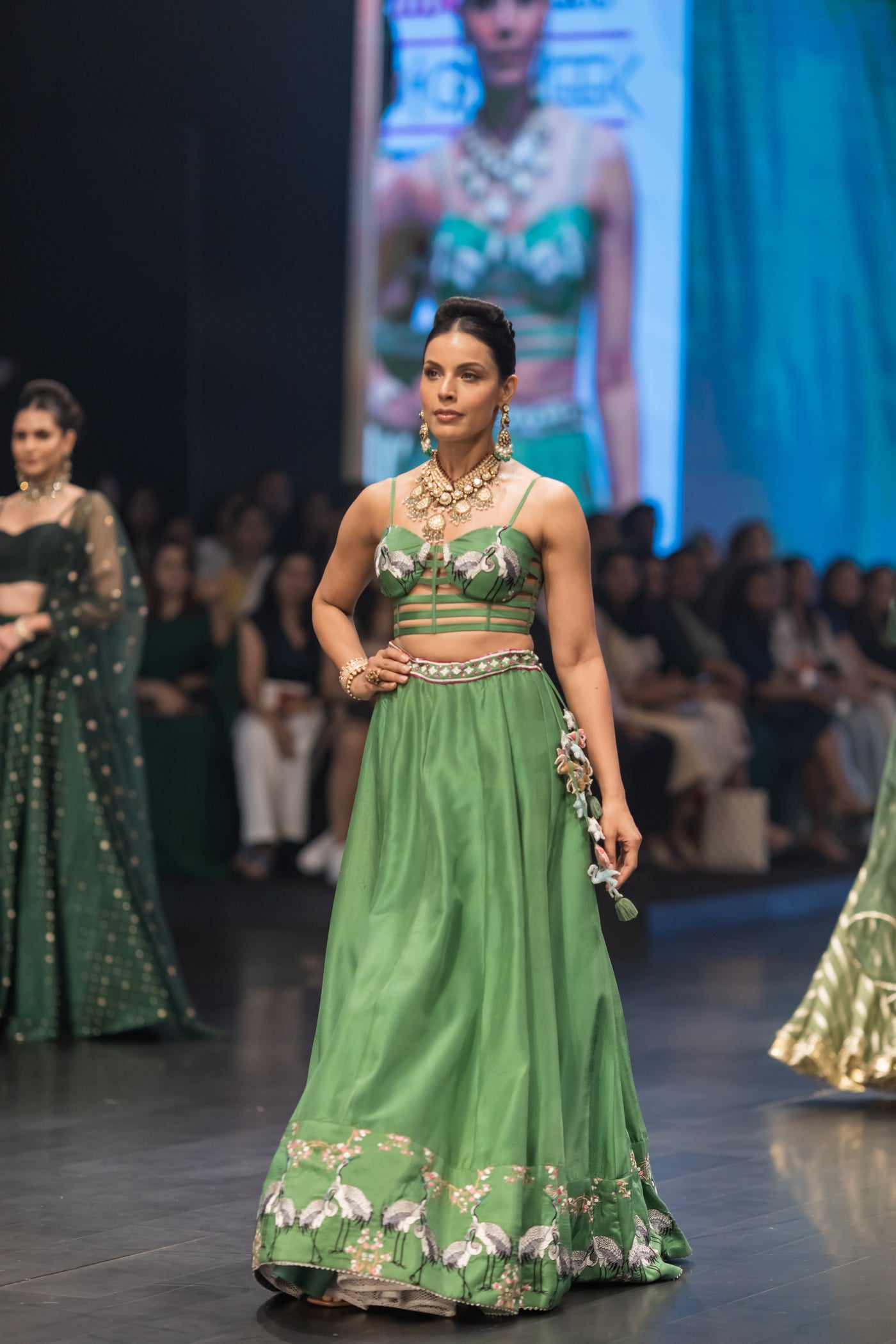 Hansa Twirl Lehenga Set