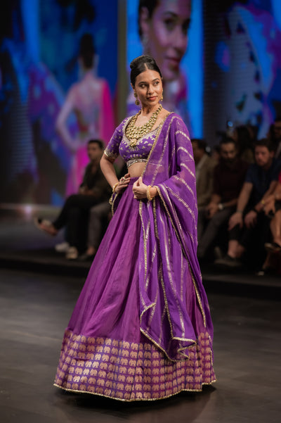 Elephant Border Purple Lehenga Set