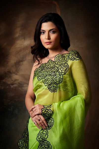 Amara Embroidered Saree