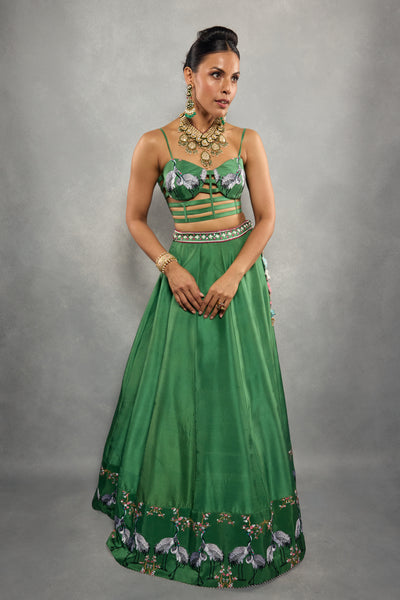 Hansa Twirl Lehenga Set